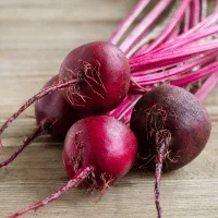 Beet - Vegetables Can Grow in 4 Hours of Sun