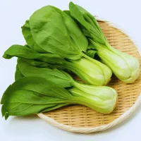 Bok Choy - Vegetables Can Grow in 4 Hours of Sun