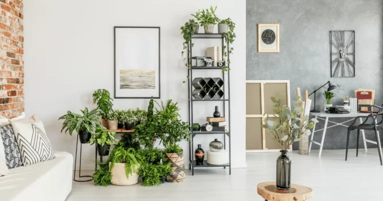 Top 30 Low-Maintenance Indoor Plants for Living Room