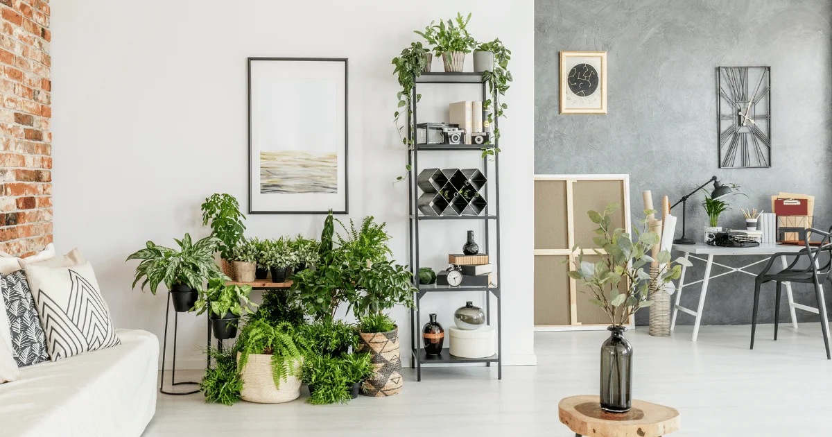 Best Indoor Plants for Living Room (Air Purifying, Low-Maintenance, Non-Toxic)
