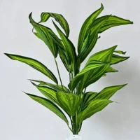 Cast iron plant - Low-maintenance best indoor plants for the living room