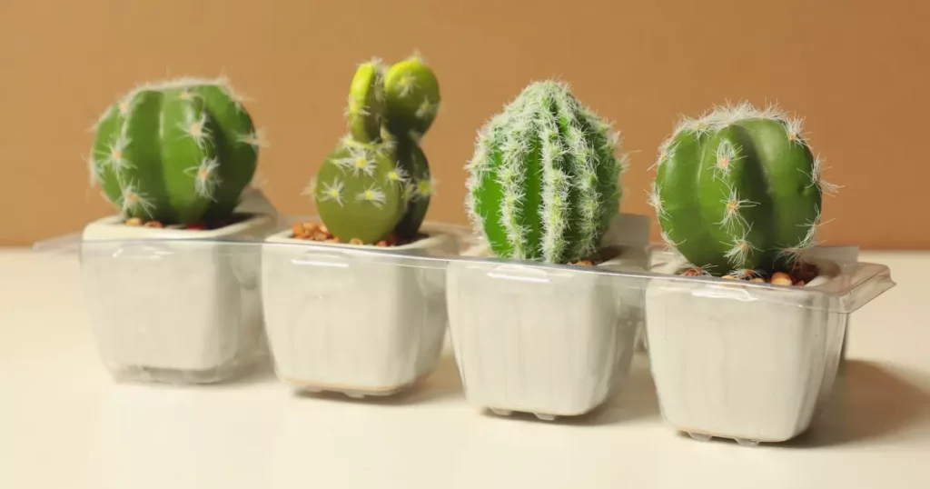How Do You Make Prickly Pear Cactus Grow Faster?