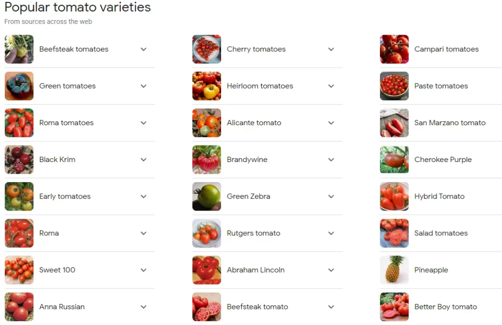 Popular Tomato Varieties
